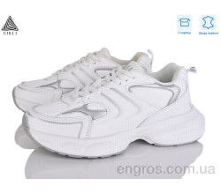 Кроссовки STILLI Group